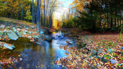1754733 (a): :1920x1080